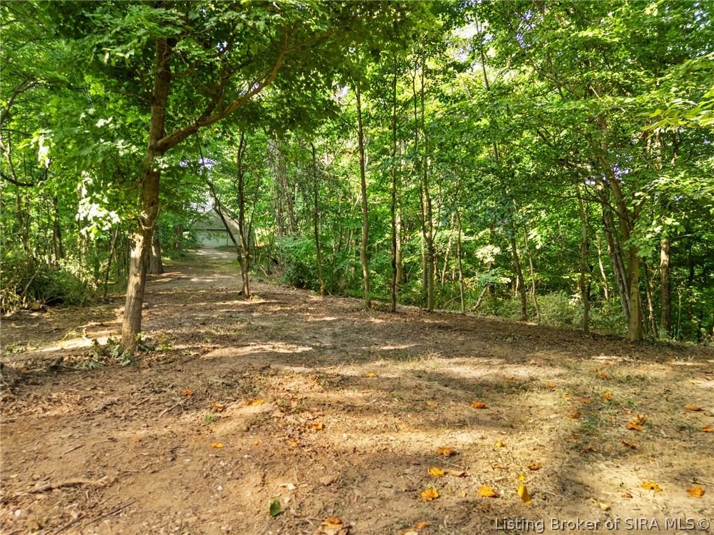0 W Mccarthy Knob Road Property Photo 18