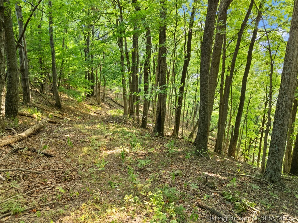 0 W Mccarthy Knob Road Property Photo 19