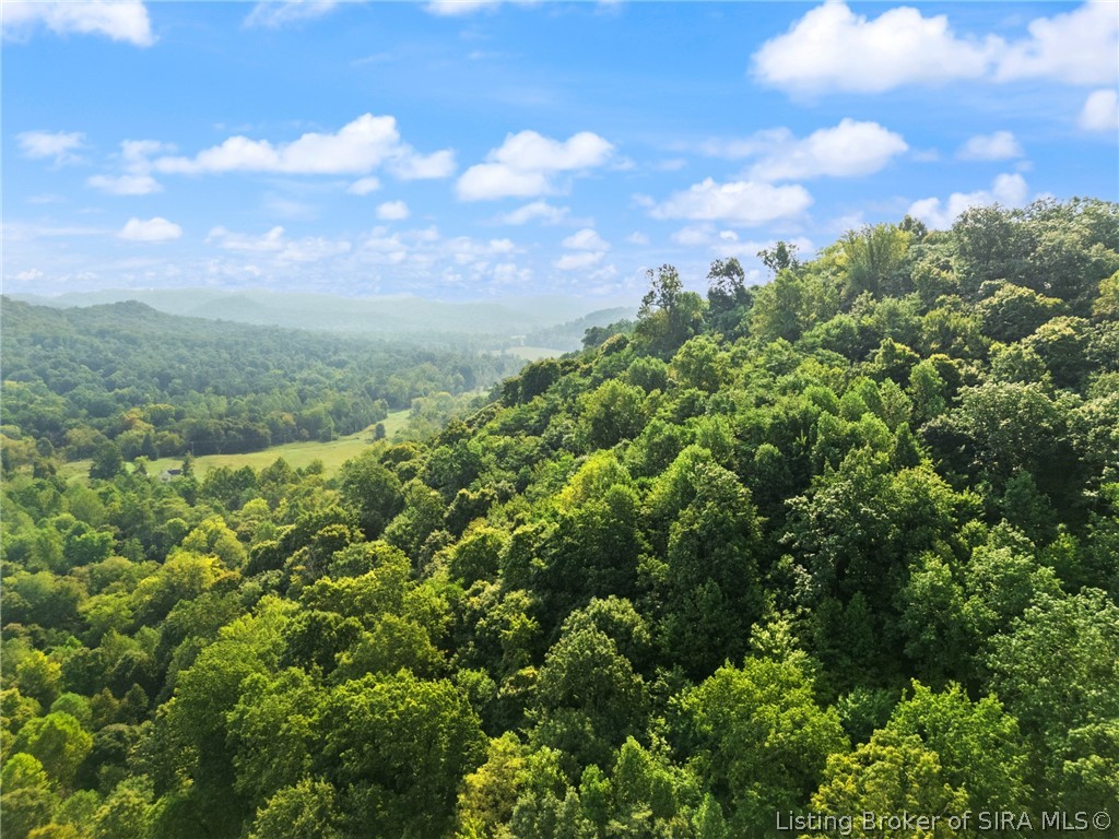 0 W Mccarthy Knob Road Property Photo 25