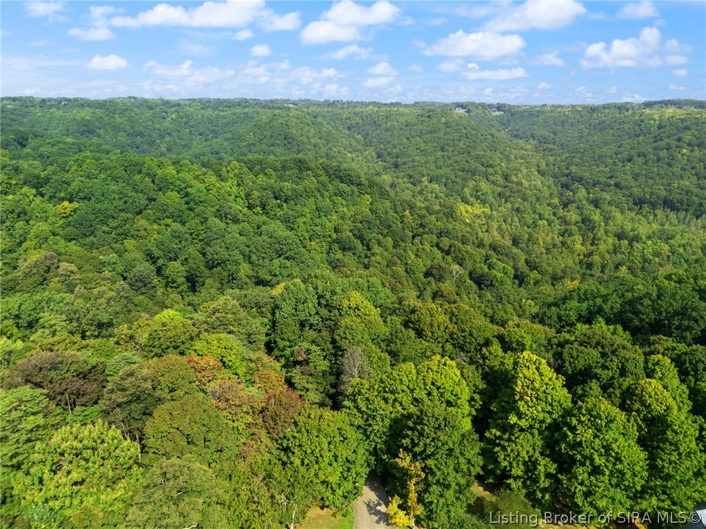 0 W Mccarthy Knob Road Property Photo 26