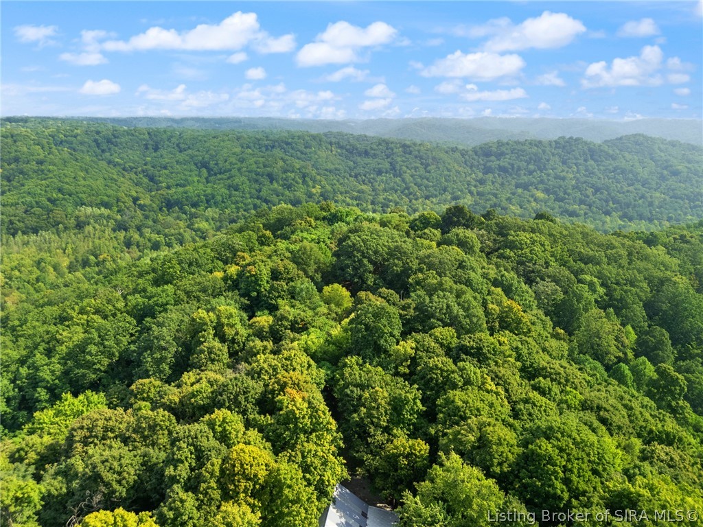 0 W Mccarthy Knob Road Property Photo 27