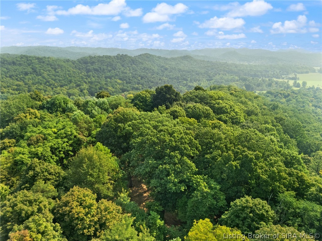 0 W Mccarthy Knob Road Property Photo 28