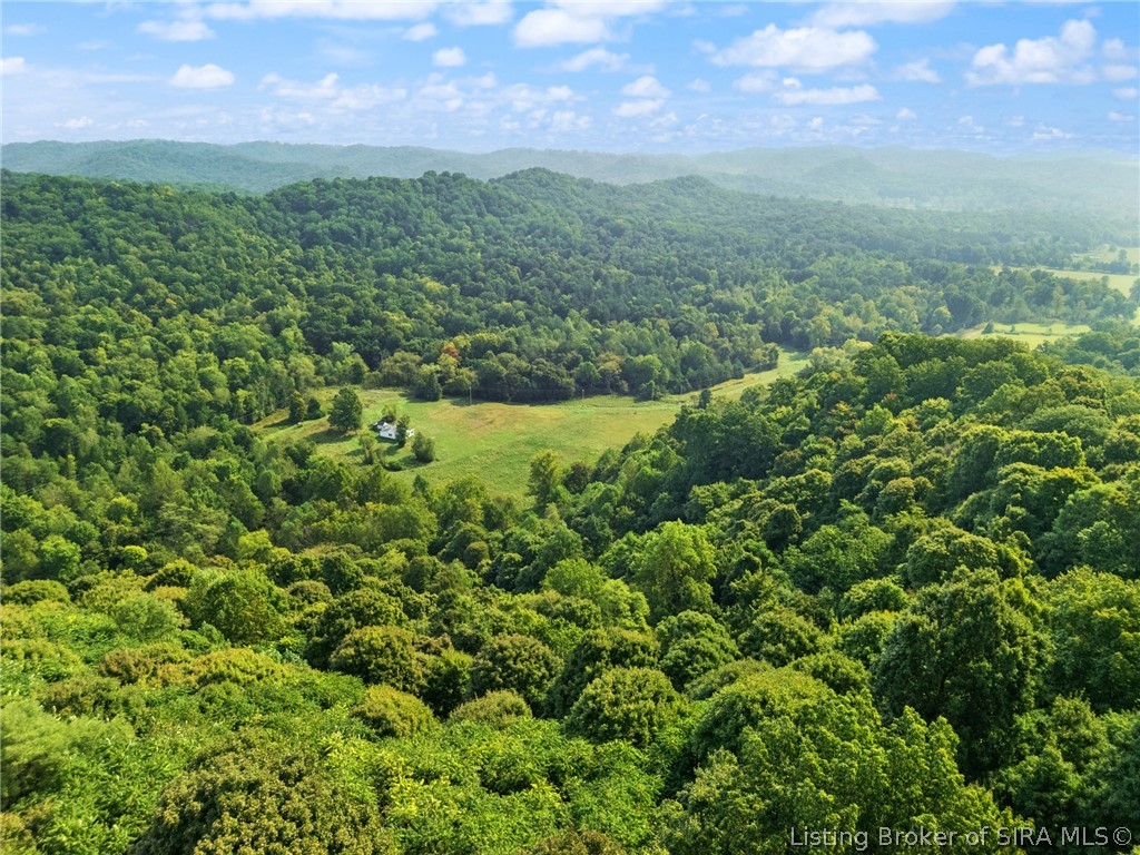 0 W Mccarthy Knob Road Property Photo 29