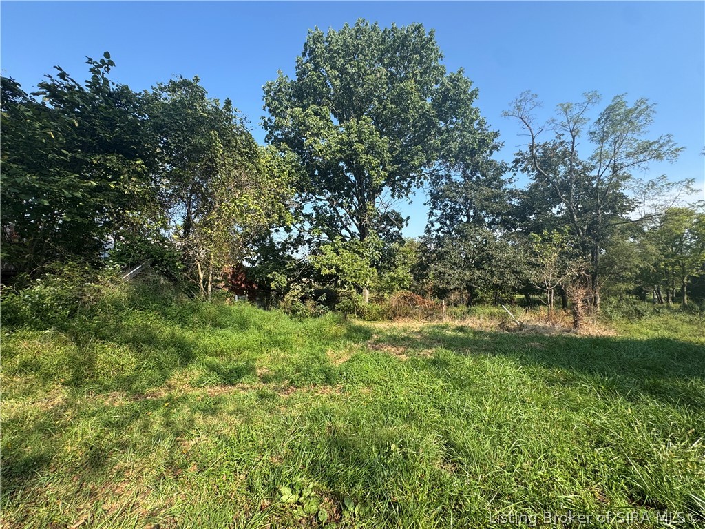9850 Depauw Ch Road Se Property Photo 5