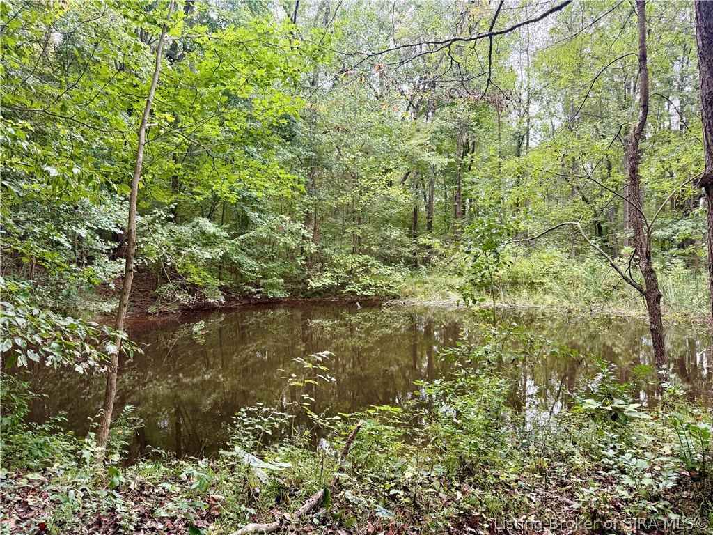 16603 State Road 60 Property Photo 28