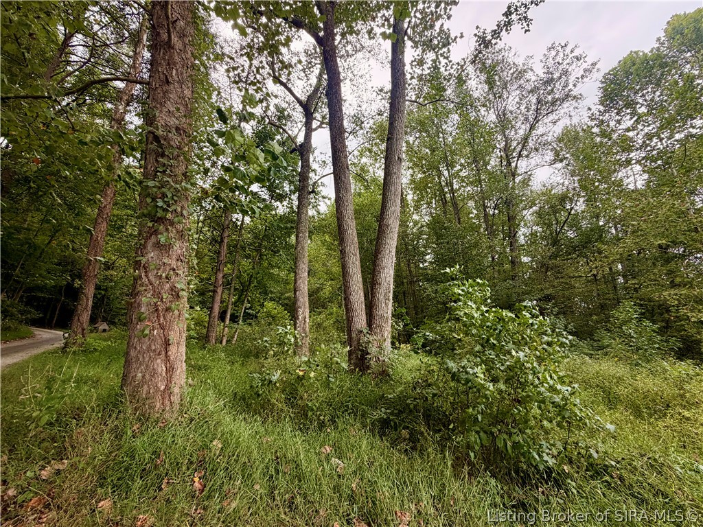 16603 State Road 60 Property Photo 31