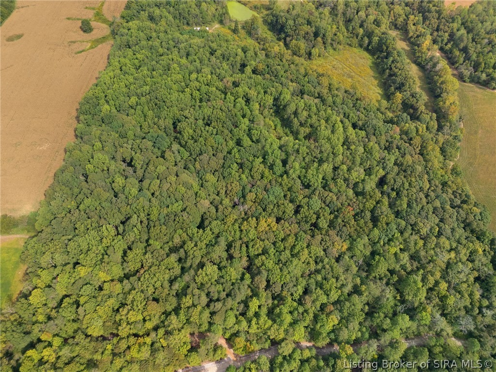 6183 E Motsinger Road Property Photo 10