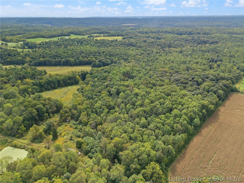 6183 E Motsinger Road Property Photo 12