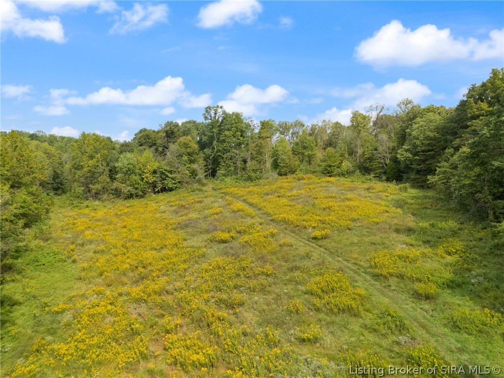 6183 E Motsinger Road Property Photo 18