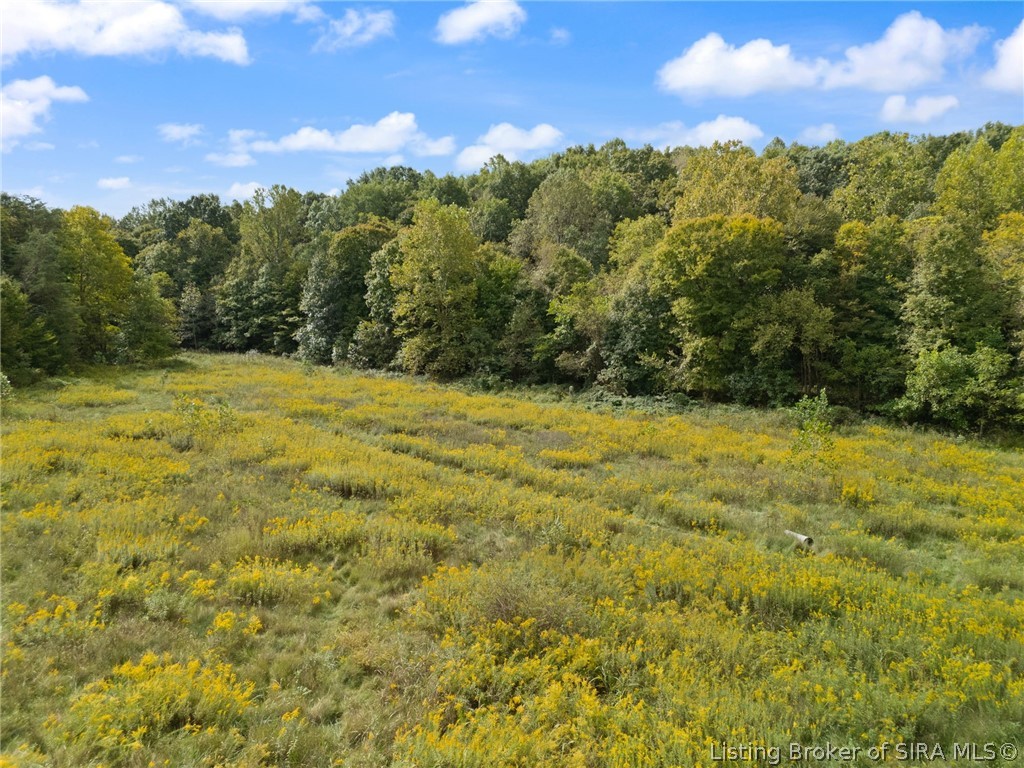 6183 E Motsinger Road Property Photo 19