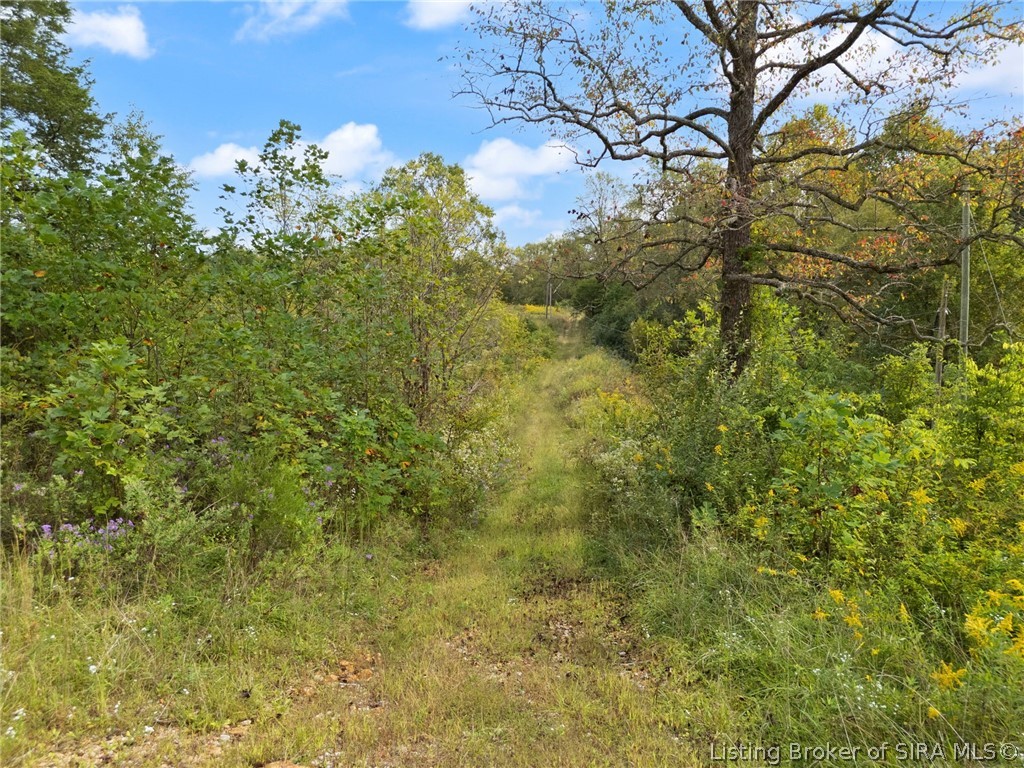 6183 E Motsinger Road Property Photo 23