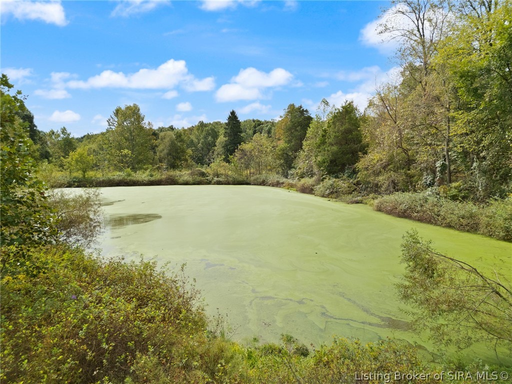 6183 E Motsinger Road Property Photo 26