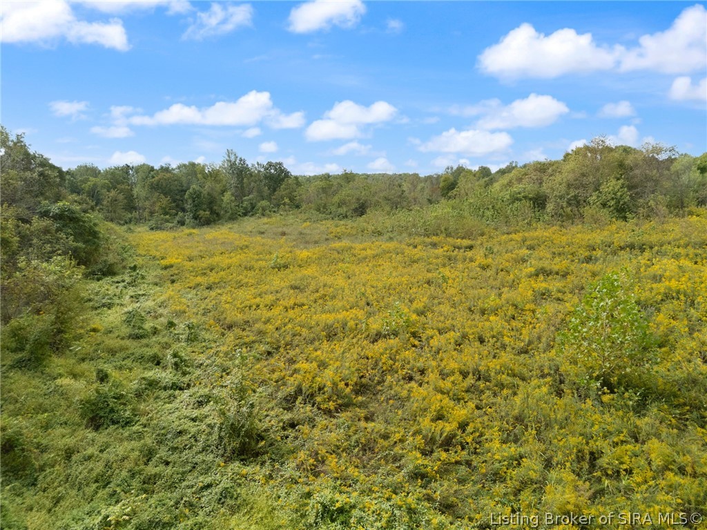 6183 E Motsinger Road Property Photo 37