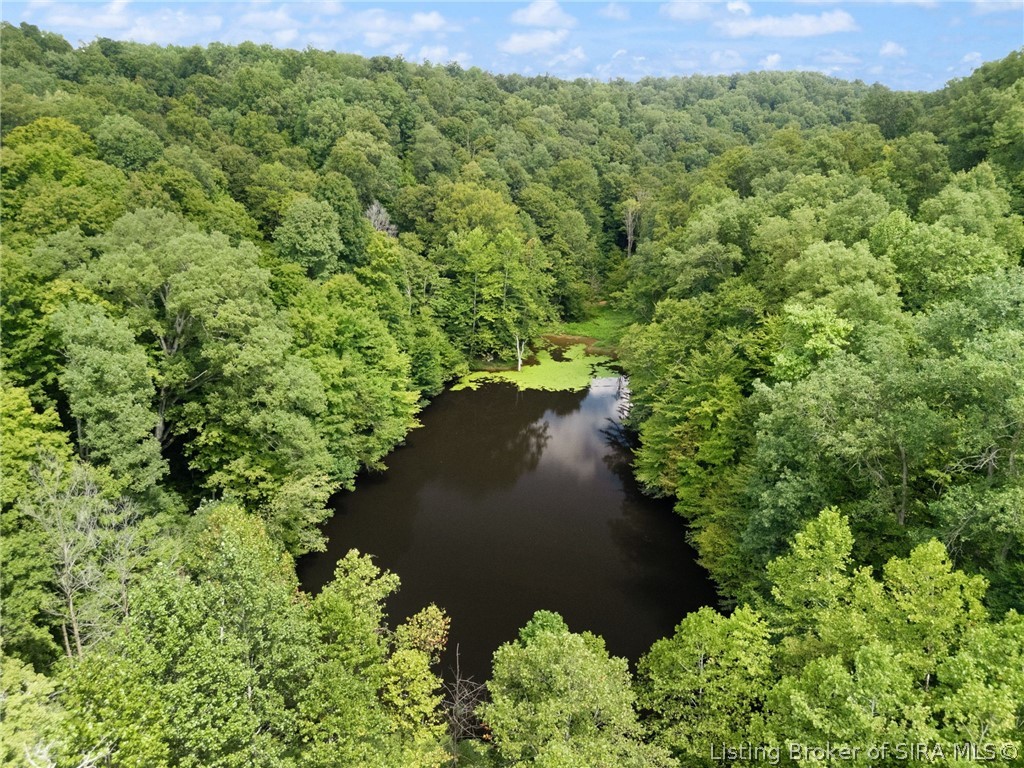 Ditney Ridge Road Property Photo 4
