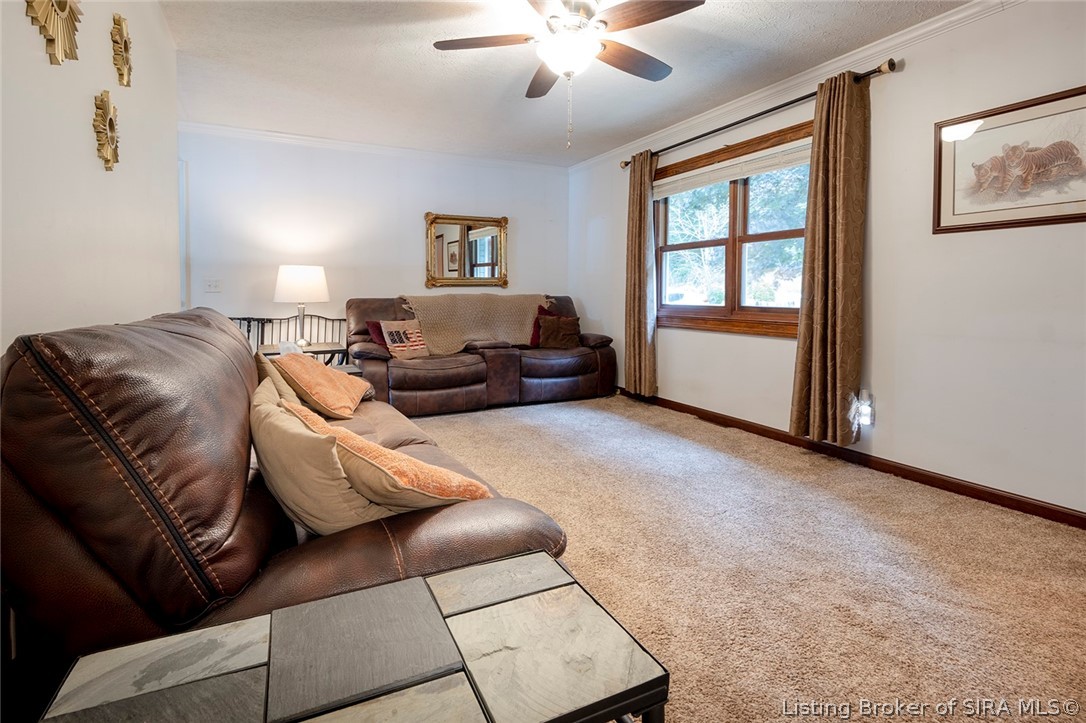 541 S State Road 335 Property Photo 17