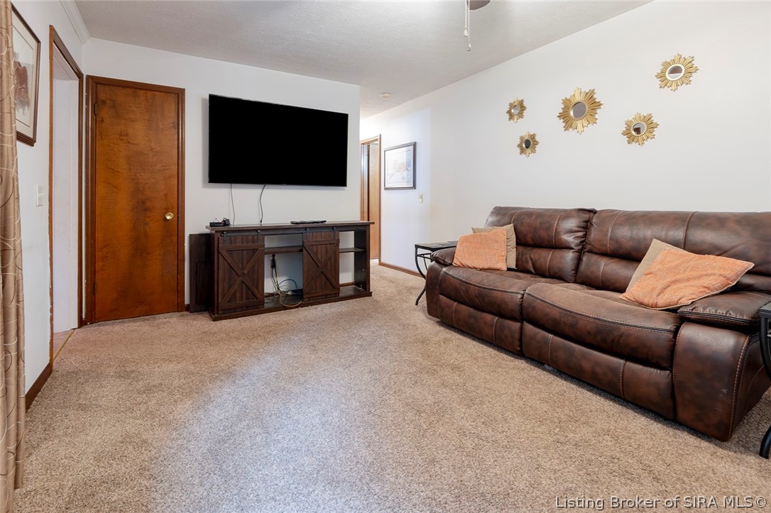 541 S State Road 335 Property Photo 18