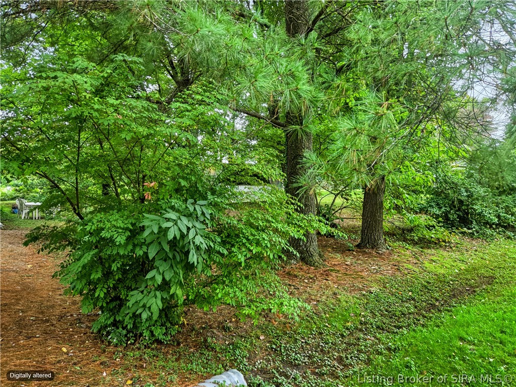 173 Rice Street Property Photo 23