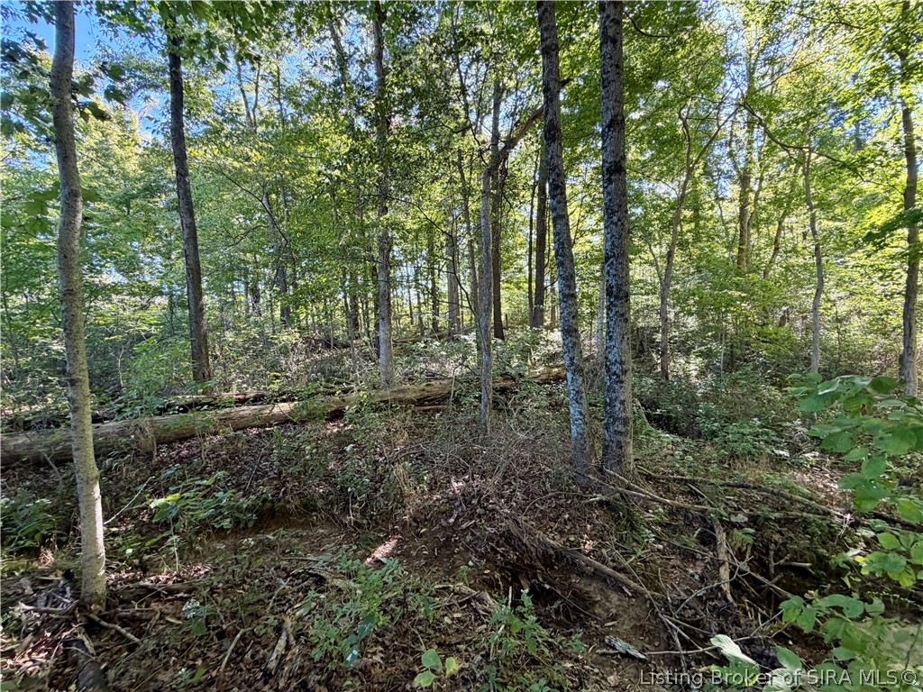 7159 N State Road 135 Property Photo 21