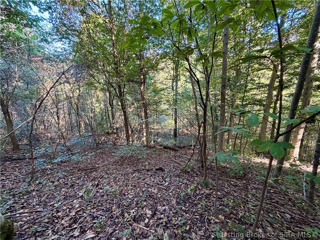 7380 N State Road 135 Property Photo 16