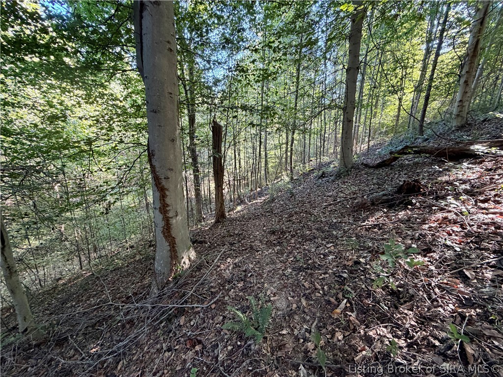 7380 N State Road 135 Property Photo 17