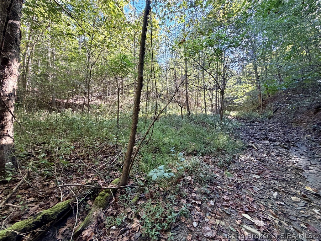7380 N State Road 135 Property Photo 18