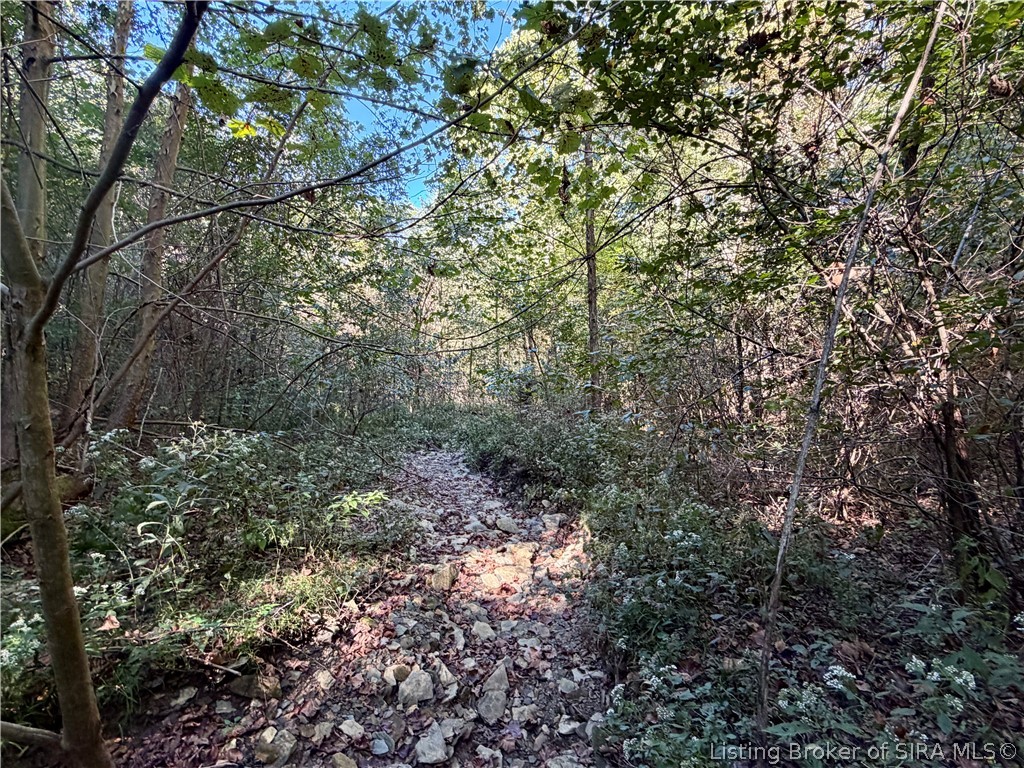 7380 N State Road 135 Property Photo 20