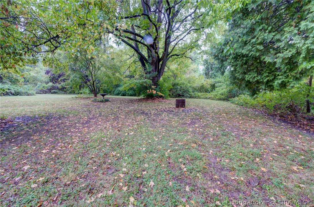 7007 Highway 31 E Property Photo 19