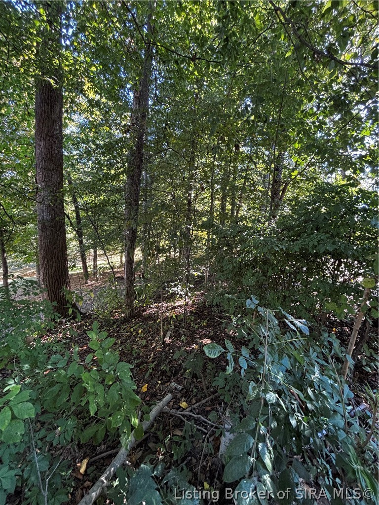 518 S Gobbler Knob Road Property Photo 22