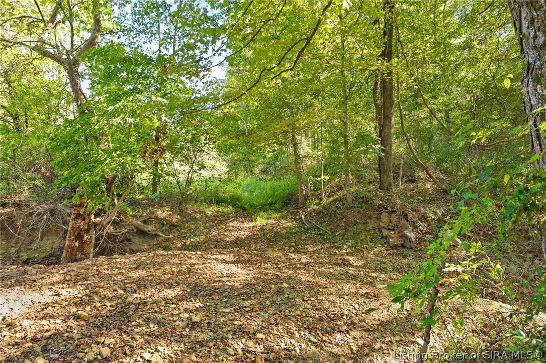1456 N. Hardy Road Property Photo 15