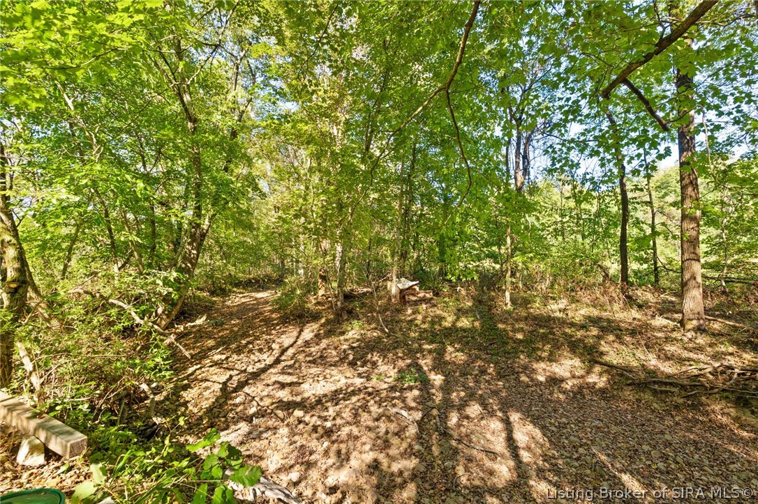 1456 N. Hardy Road Property Photo 17