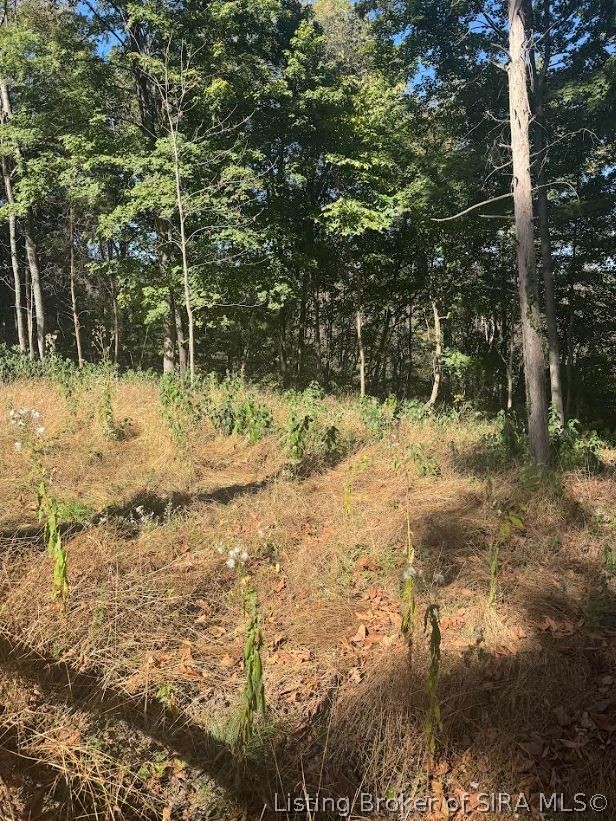 N Jack Morgan Road Property Photo 1