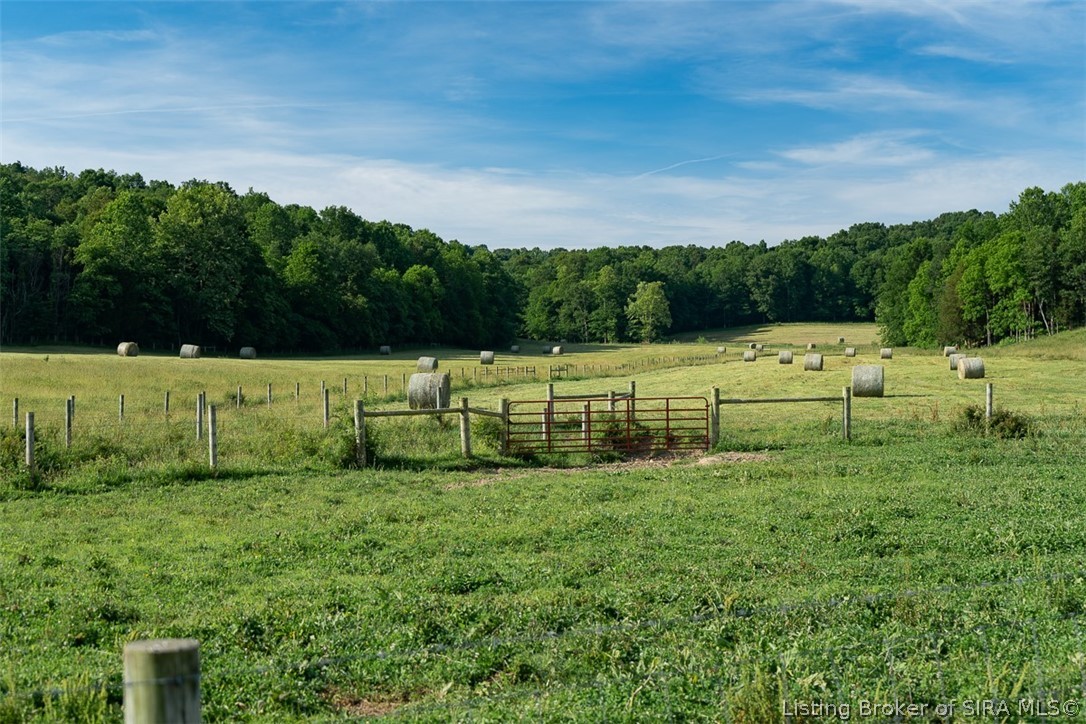 7957d E Speed Road Property Photo 8
