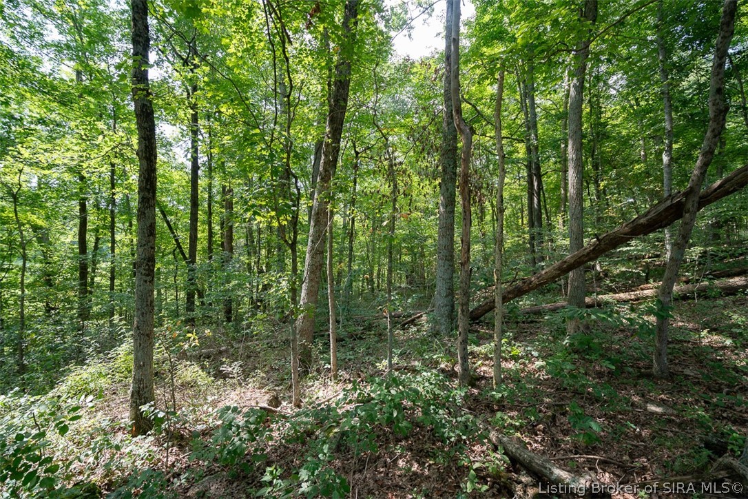 7957d E Speed Road Property Photo 99
