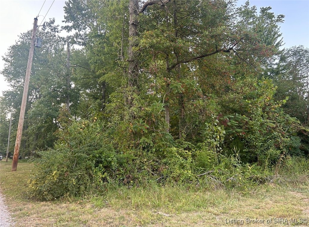 3411 Crone Road Property Photo 1