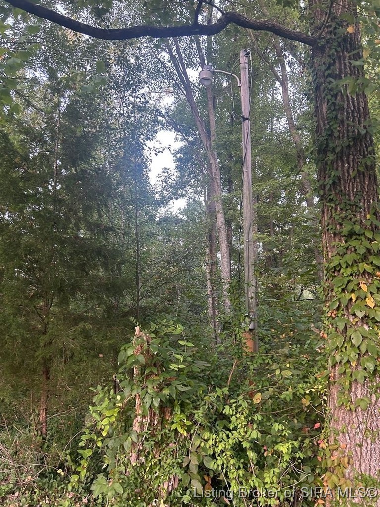 3411 Crone Road Property Photo 2