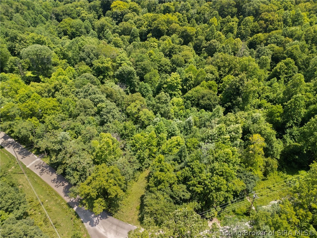 0 Co Rd 150 N Lot #1 Property Photo 10