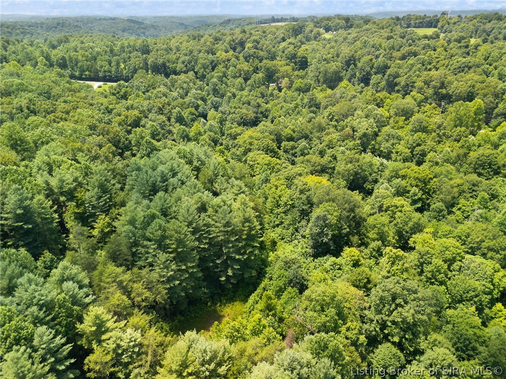 0 Co Rd 150 N Lot #1 Property Photo 11