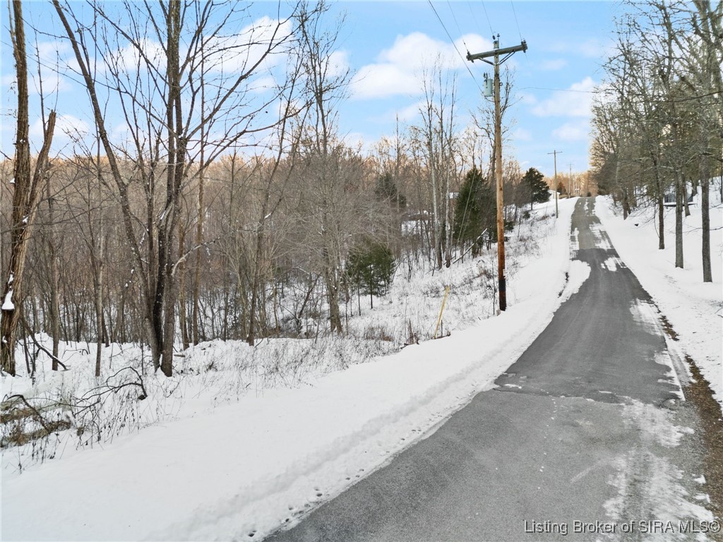 0 Co Rd 150 N Lot #1 Property Photo 30