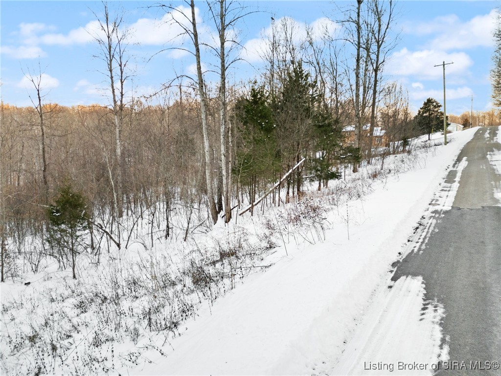 0 Co Rd 150 N Lot #1 Property Photo 31
