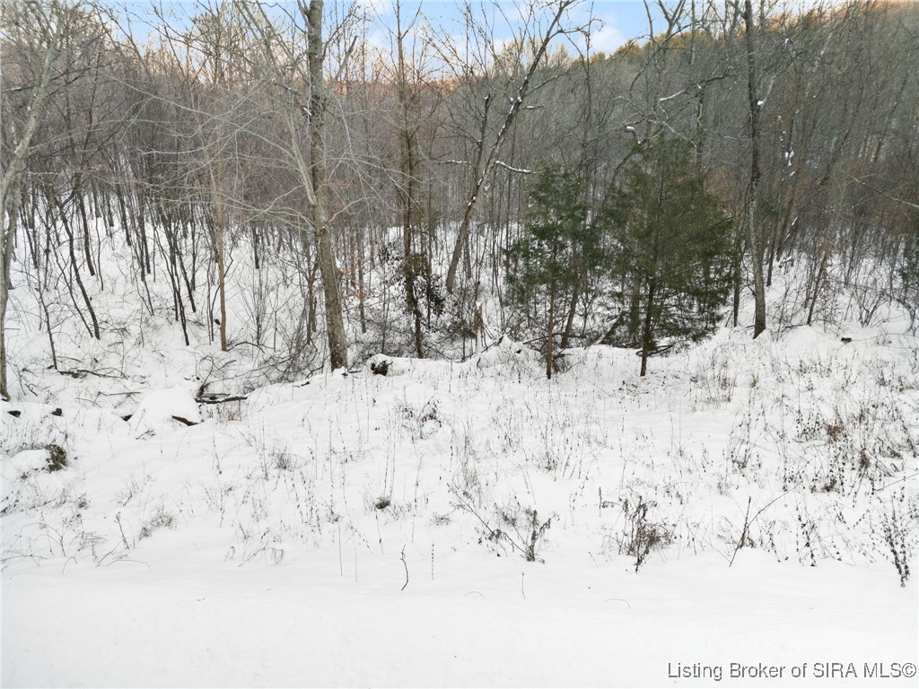 0 Co Rd 150 N Lot #1 Property Photo 33