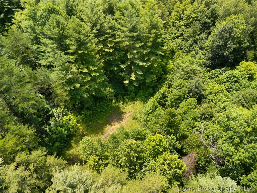 0 Co Rd 150 N Lot #6 Property Photo 3