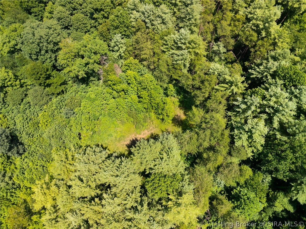 0 Co Rd 150 N Lot #6 Property Photo 11