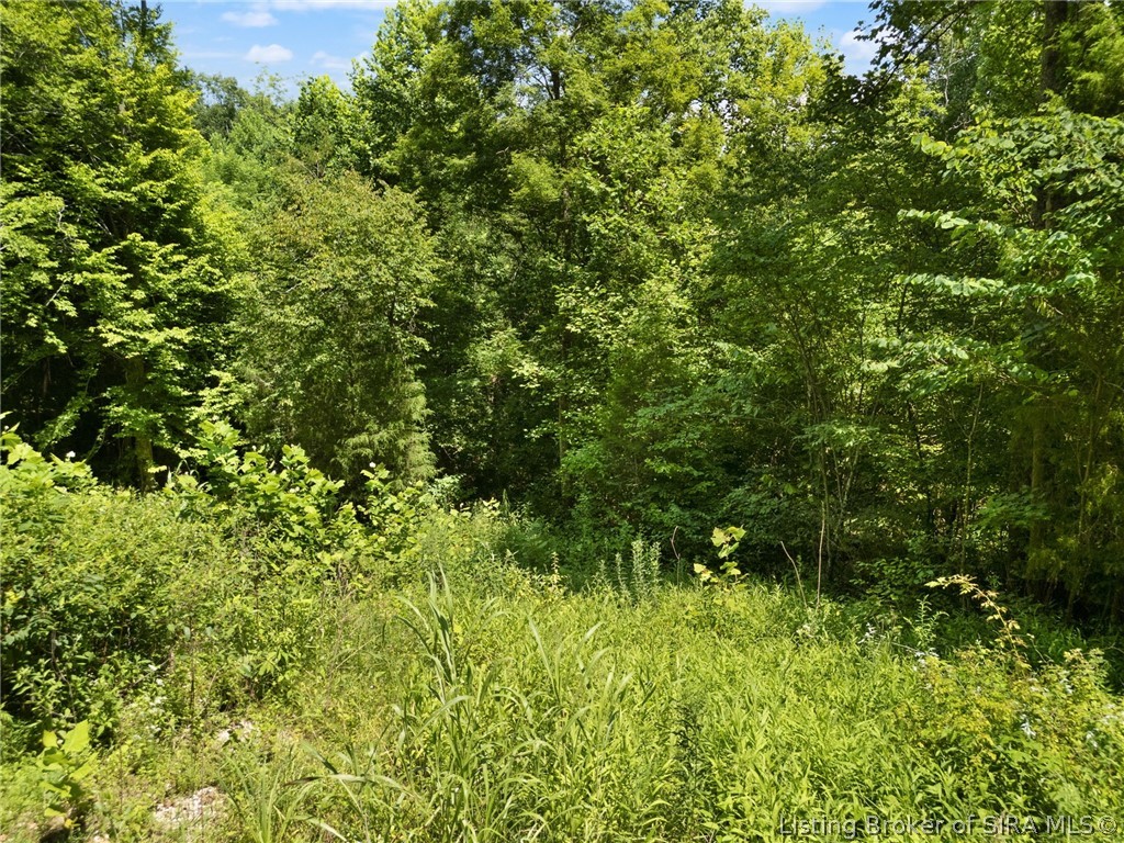 0 Co Rd 150 N Lot #8 Property Photo 3