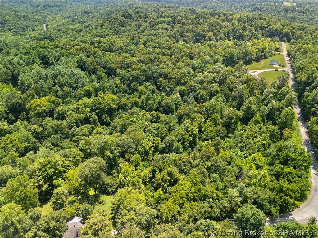 0 Co Rd 150 N Lot #8 Property Photo 12