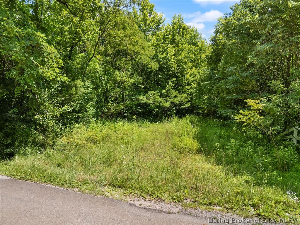 0 Co Rd 150 N Lot #8 Property Photo 18