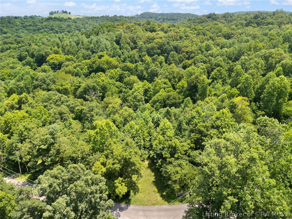 0 Co Rd 150 N Lot #8 Property Photo 20