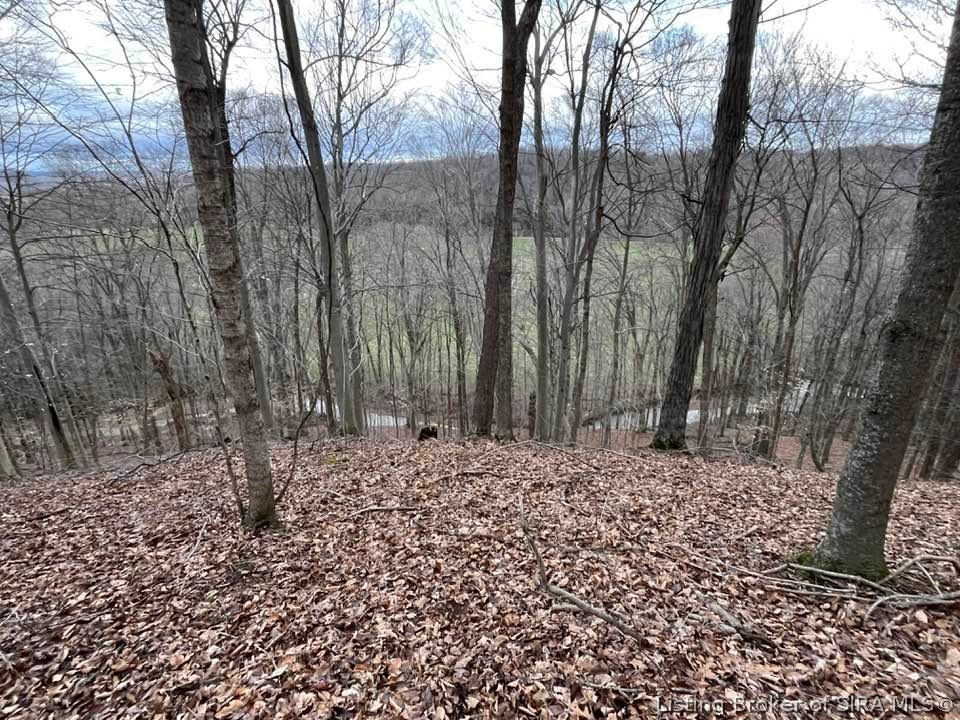 Fields Road Property Photo 15