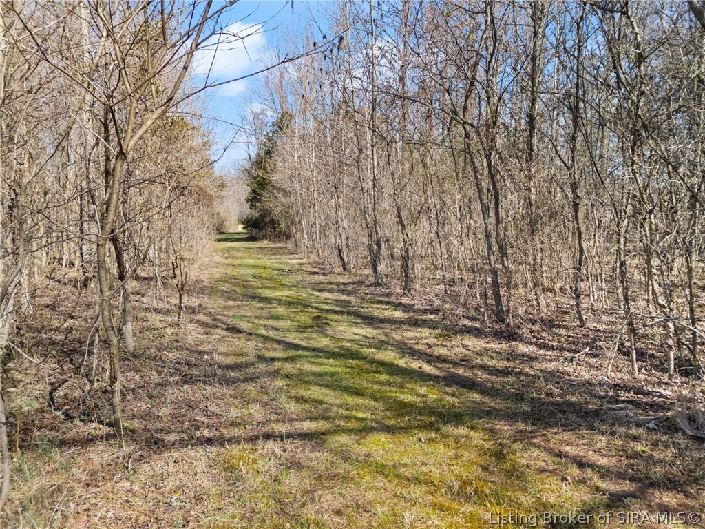 3165 E Lovers Lane Property Photo 19