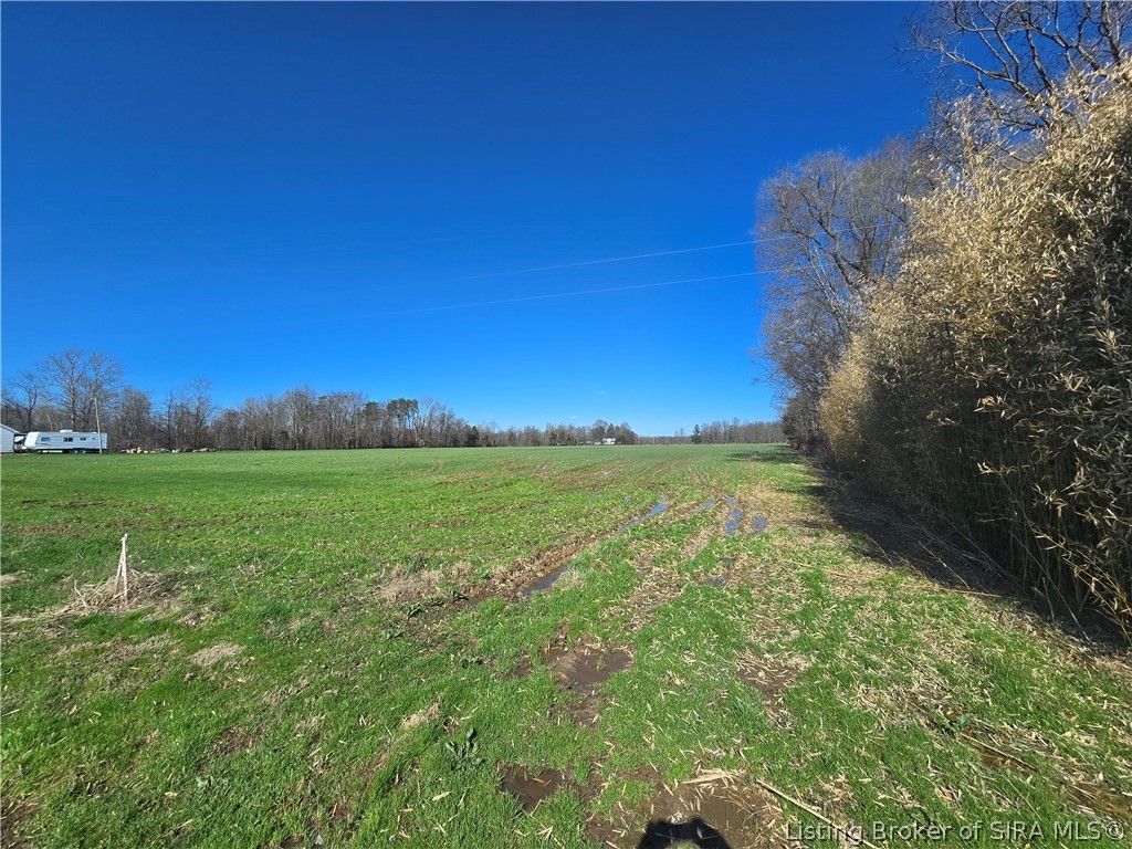 16710 Beyl Road Property Photo 4