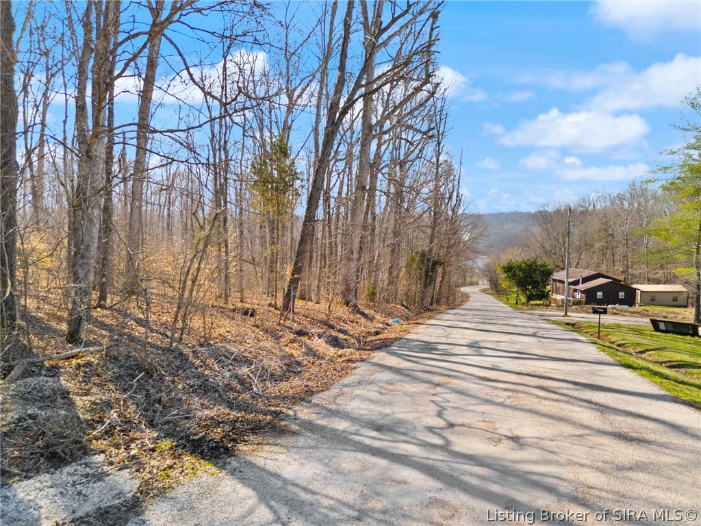 6± Ac Pedora School Road Property Photo 3